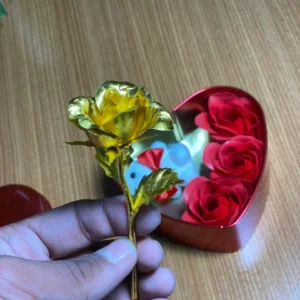 Gift Hamper